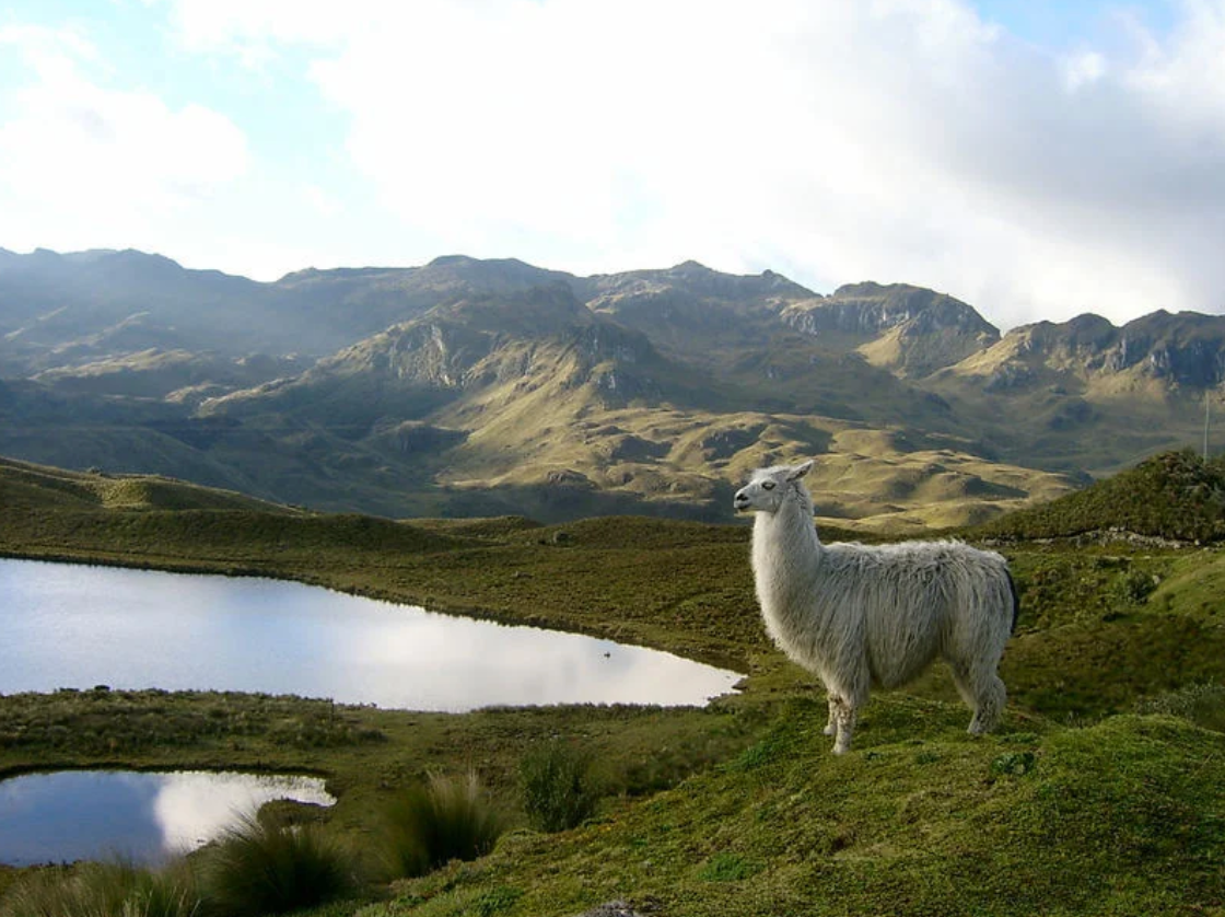 Kinsa Cocha Pilgrimage
