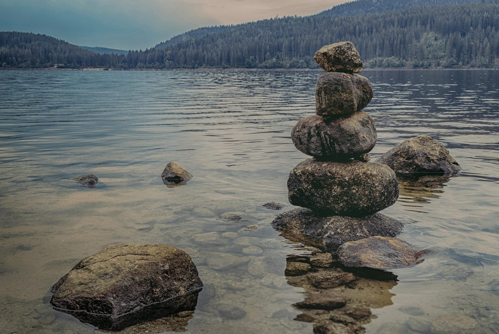 Connect with nature, community, and ancestral wisdom